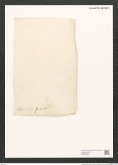 Diatomeae indet. (de-Toni-Nr.: Species 1276 ?) Zeichnungen Sammlung Grunow (NHMW-BOT-W0369636)